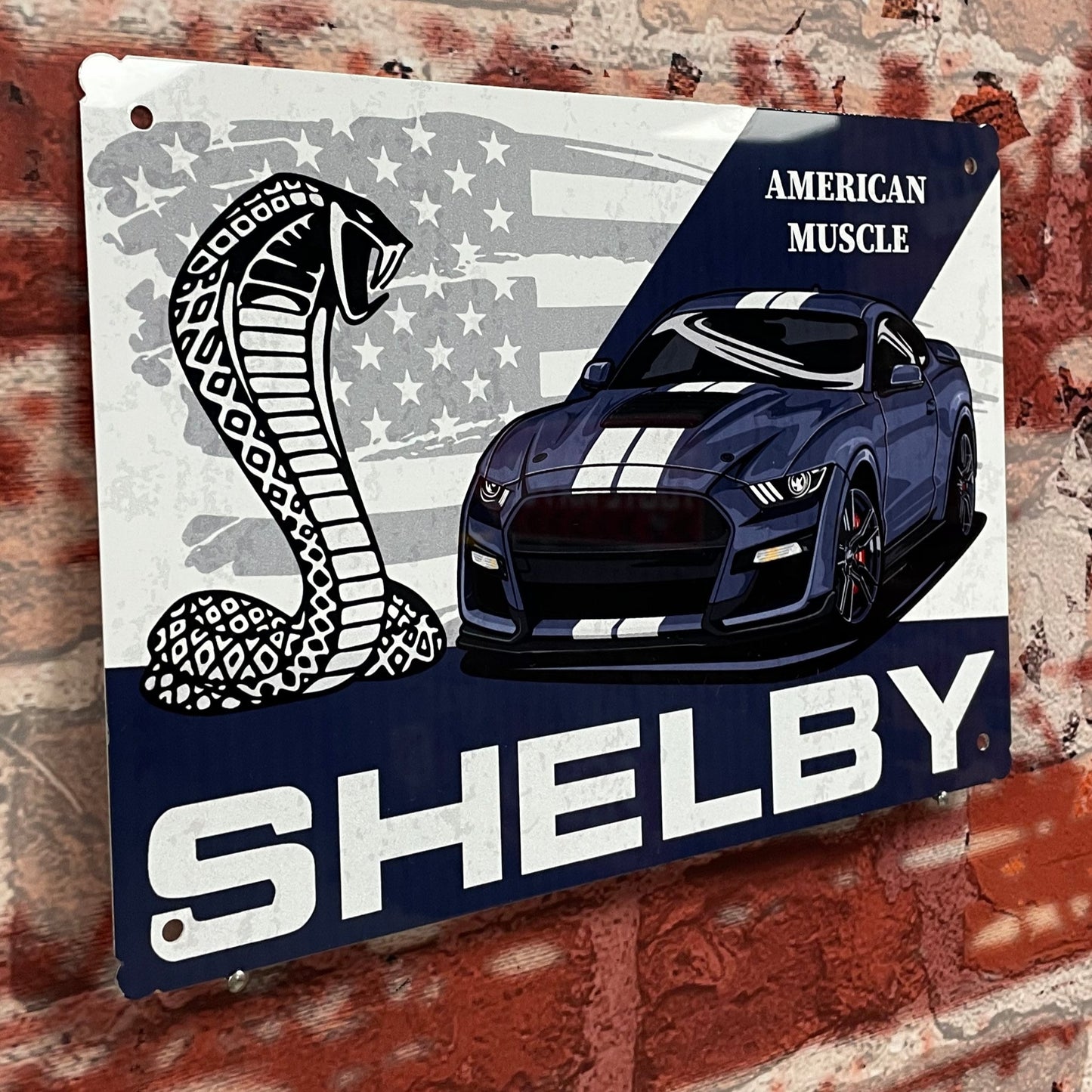 Plaque métal Shelby 2022