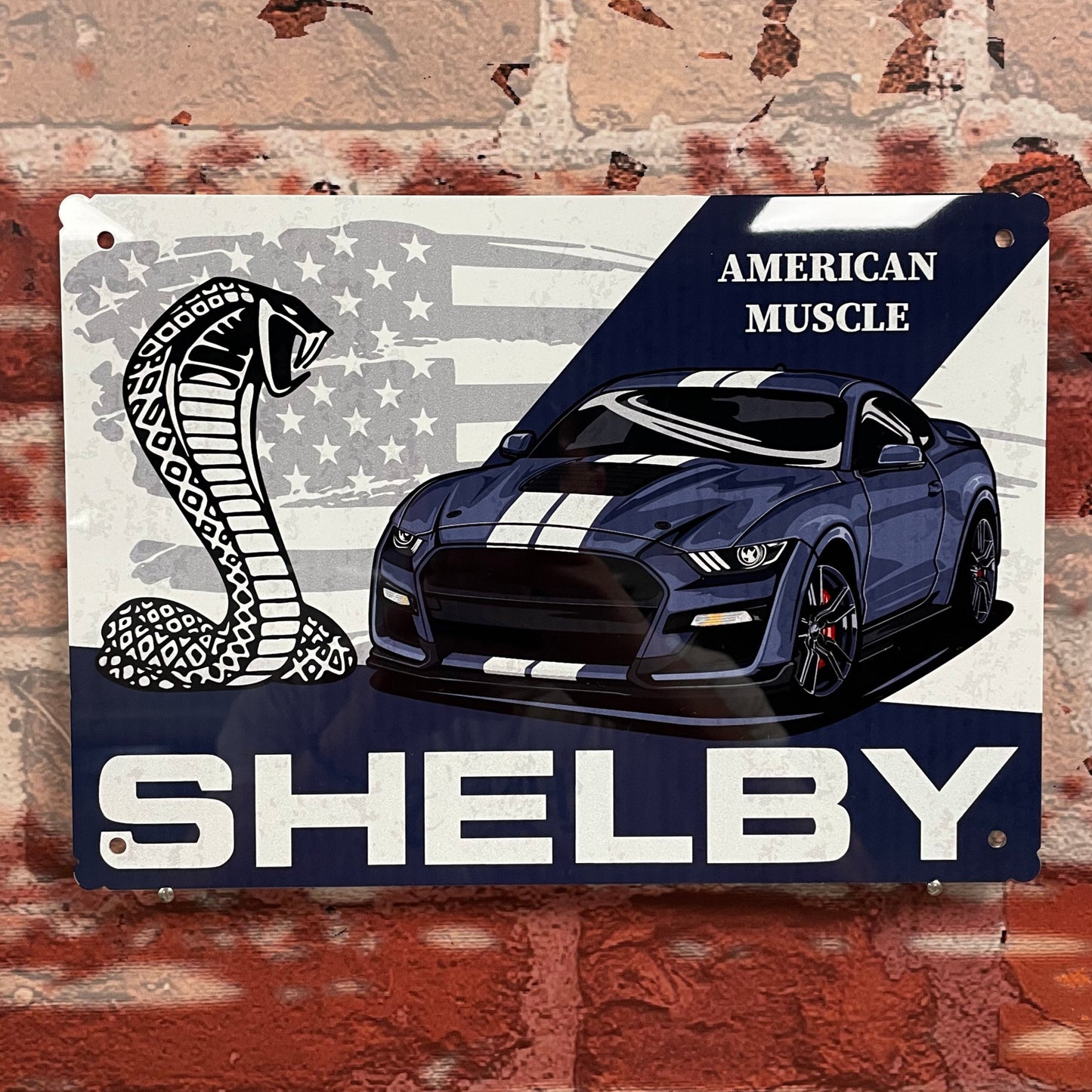 Plaque métal Shelby 2022